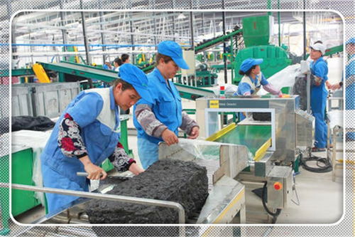 2021年適合農(nóng)村開辦的小型加工廠項目 投資少、前景廣闊