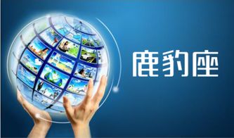 網(wǎng)絡(luò)營銷策劃 信息網(wǎng)絡(luò)經(jīng)營游戲產(chǎn)品的多元化方法與實(shí)戰(zhàn)策略